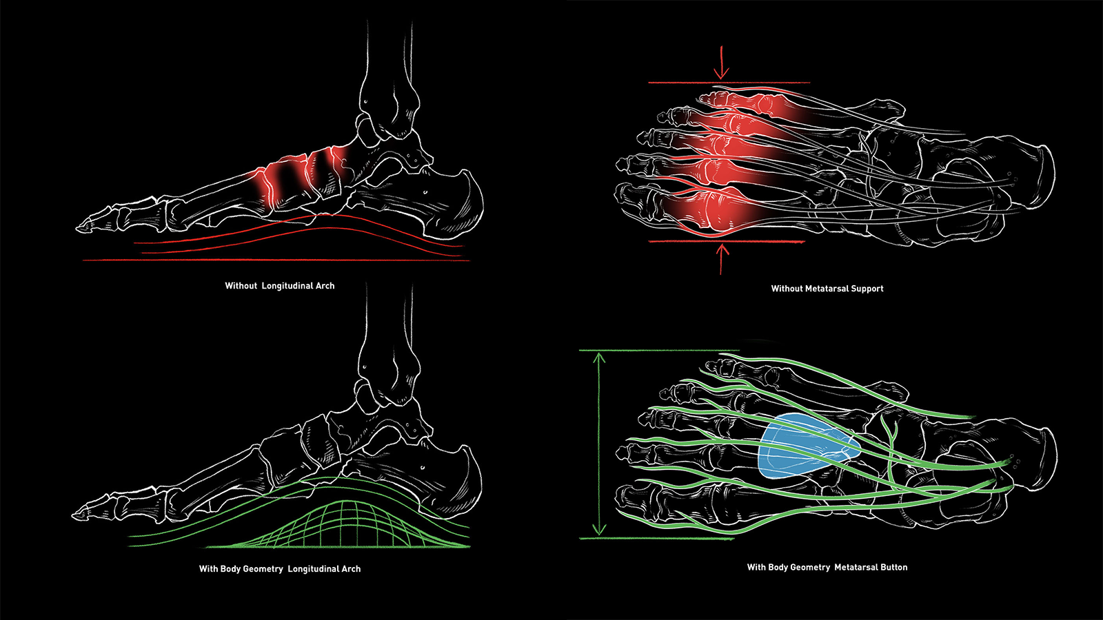Body Geometry By Specialized