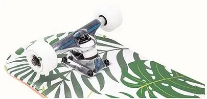 סקייטבורד קומפלט Alameda Malibu palm-Retrospec