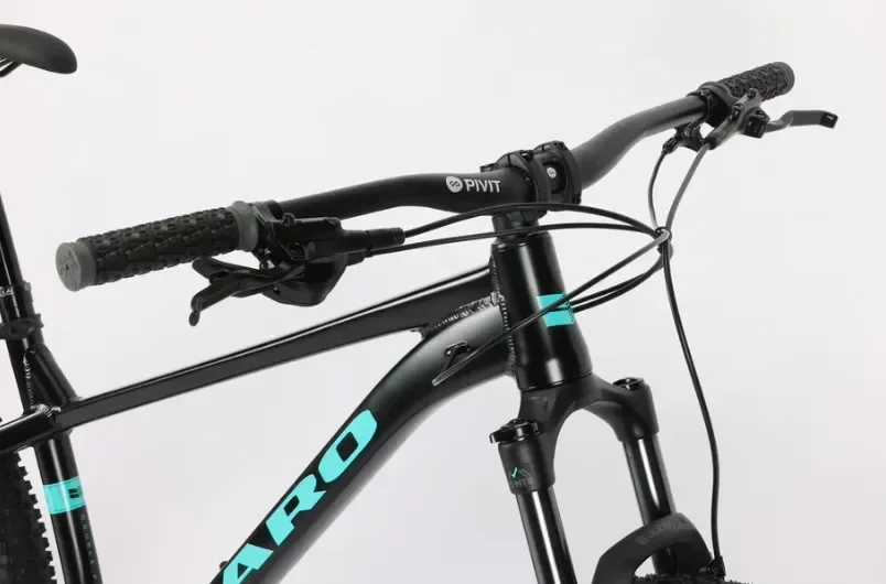 אופני הרים זנב קשיח Double Peak 1   29" Matte Black / Teal L