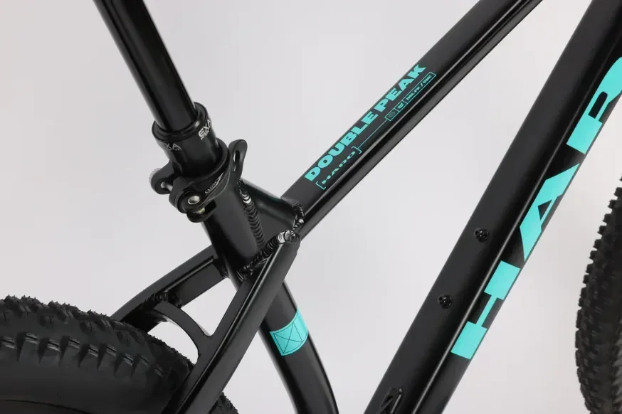 אופני הרים זנב קשיח Double Peak 1   29" Matte Black / Teal L