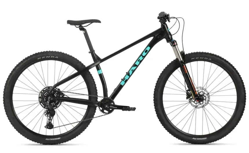 אופני הרים זנב קשיח Double Peak 2   29" Matte Black / Teal S