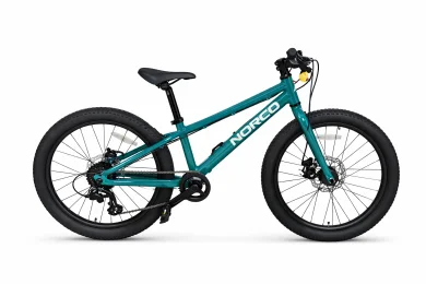אופני הרים לילדים ונוער STORM 20 DISC GREEN