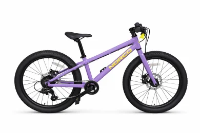 אופני הרים לילדים ונוער STORM 20 DISC PURPLE