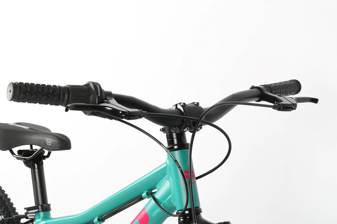 אופני הרים לילדים ונוער Flightline 20" 20" Wheel Matte Green