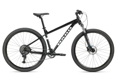 אופני הרים זנב קשיח FlightLine 29" 1 SGloss Black Grey