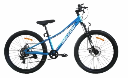 אופני הרים לילדים ונוער RALEIGH 224 DISC