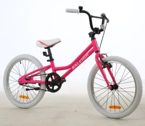 אופניים לילדים "Raleigh BMX Pink 20