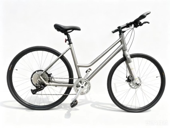 אופני עיר אפור "ROLL LADY 700C 17
