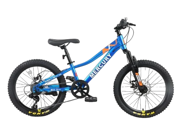 אופני ילדים ונוער כחול "MERCURY 20