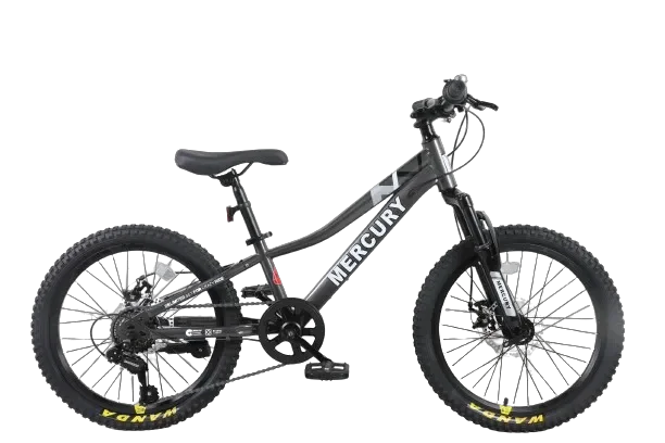 אופני ילדים ונוער אפור "MERCURY 20