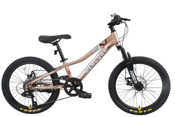 אופני ילדים ונוער זהב "MERCURY 20