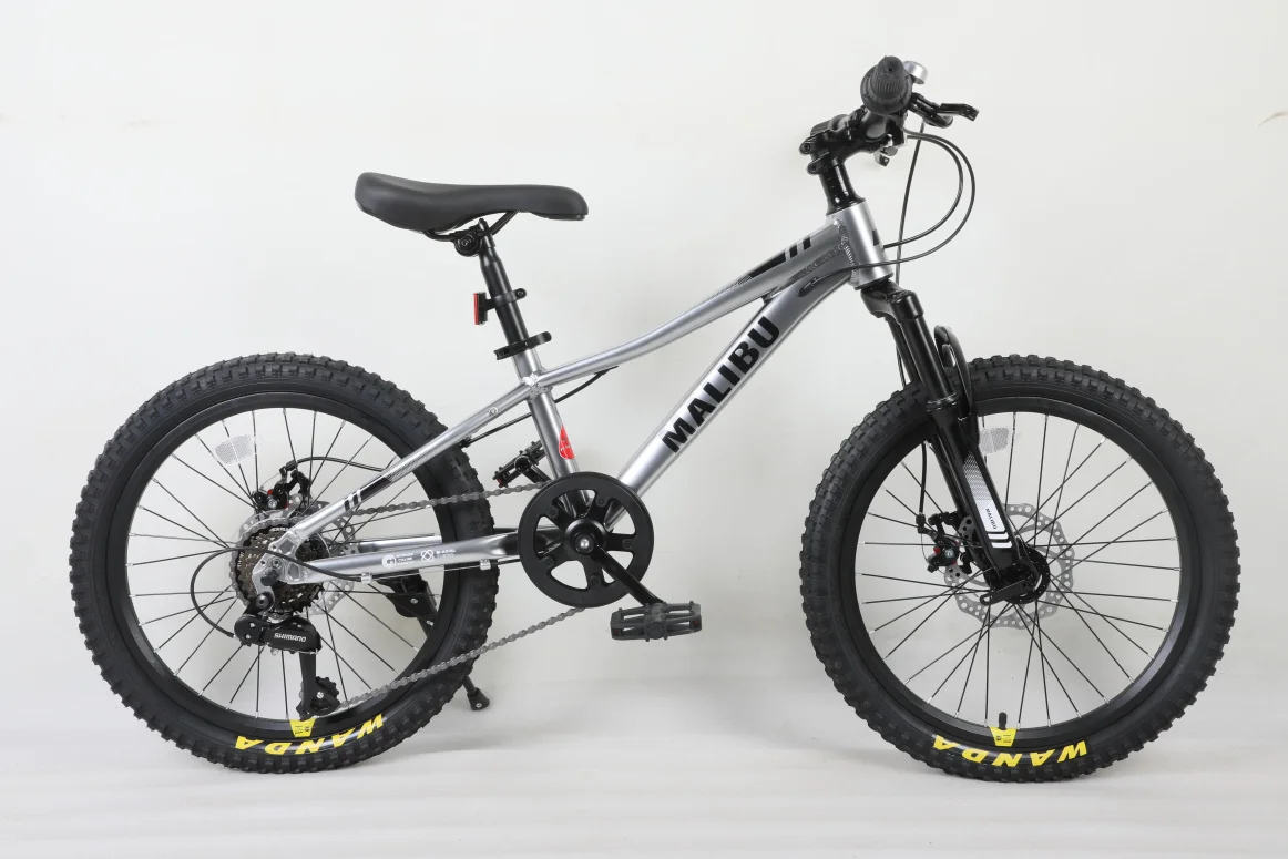 אופני ילדים ונוער כסוף "MALIBU  20