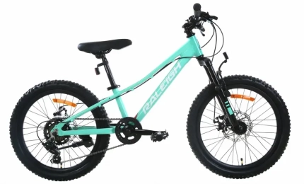 אופניים הרים לילדים ונוער 20 טורקיז RALEIGH ROWDY 220