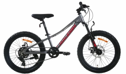 אופניים הרים לילדים ונוער 20 אפור/אדום RALEIGH ROWDY 220