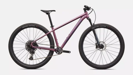 אופני הרים זנב קשיח ROCKHOPPER EXPERT KH QTZMET/WHT XL-29