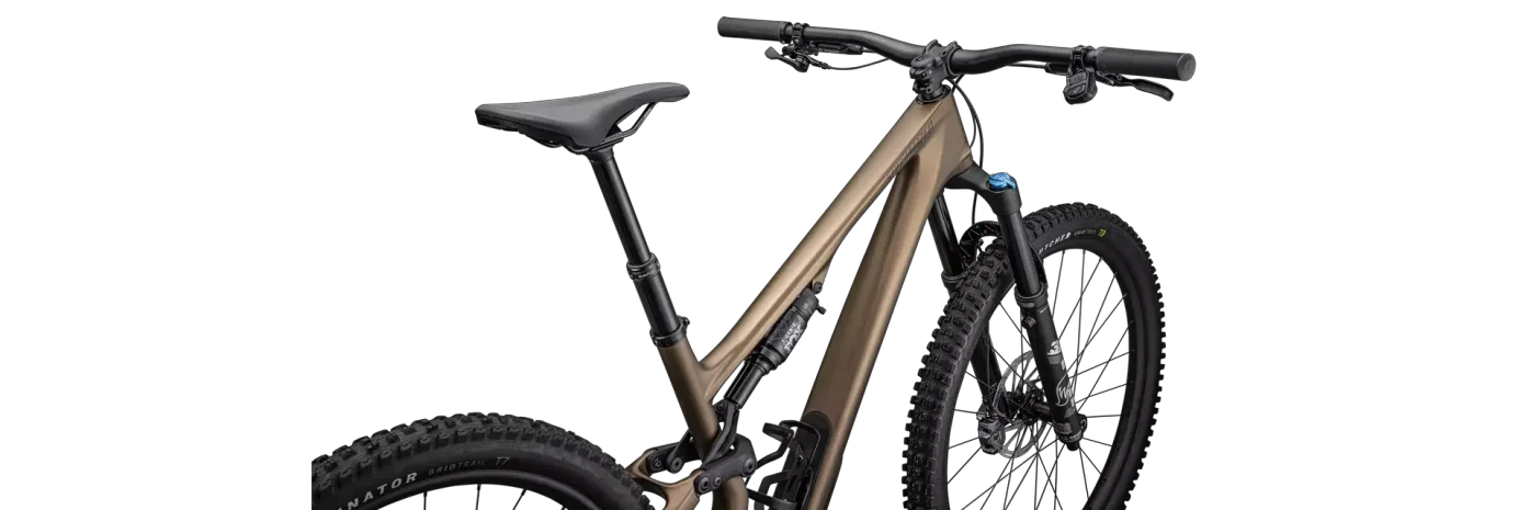 אופני הרים שיכוך מלא Stumpjumper 15 Comp Bntgldmet/Gun S3