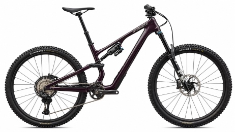 אופני הרים שיכוך מלא STUMPJUMPER 15 EVO EXPERT 29 AXS - SHIMANO