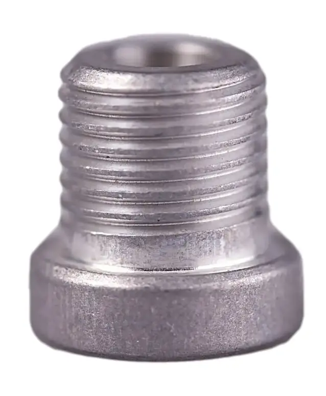 S20 - בורג לאוזן Pilo derailleur Hanger Plug